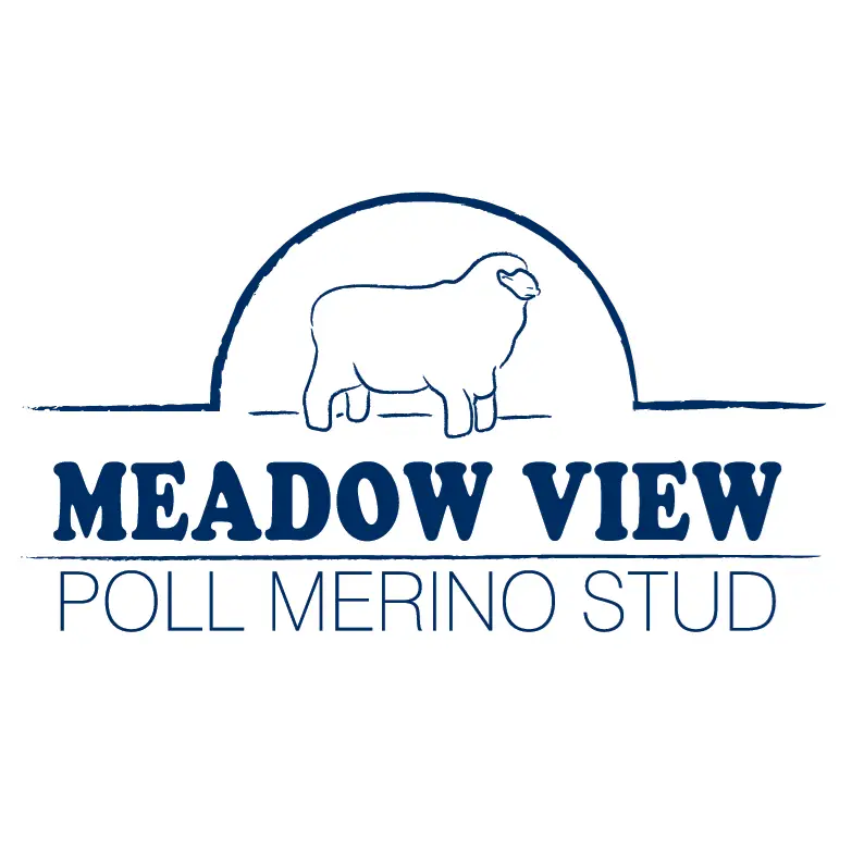 Meadow View Poll Merino Stud logo displayed with testimonial for Signature Ag Marketing’s livestock and stud stock marketing services.